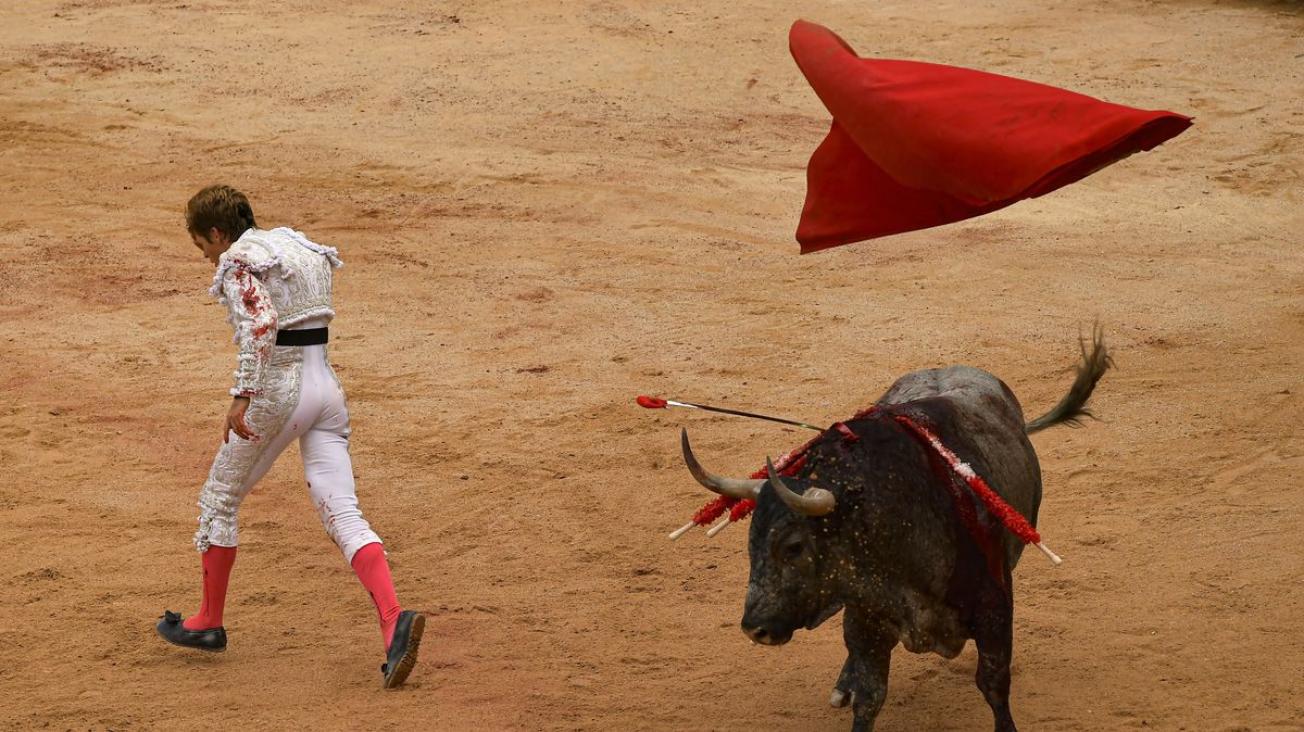 FOTO: Devět dní adrenalinu a krve. Ve Španělsku probíhá největší festival býčích zápasů